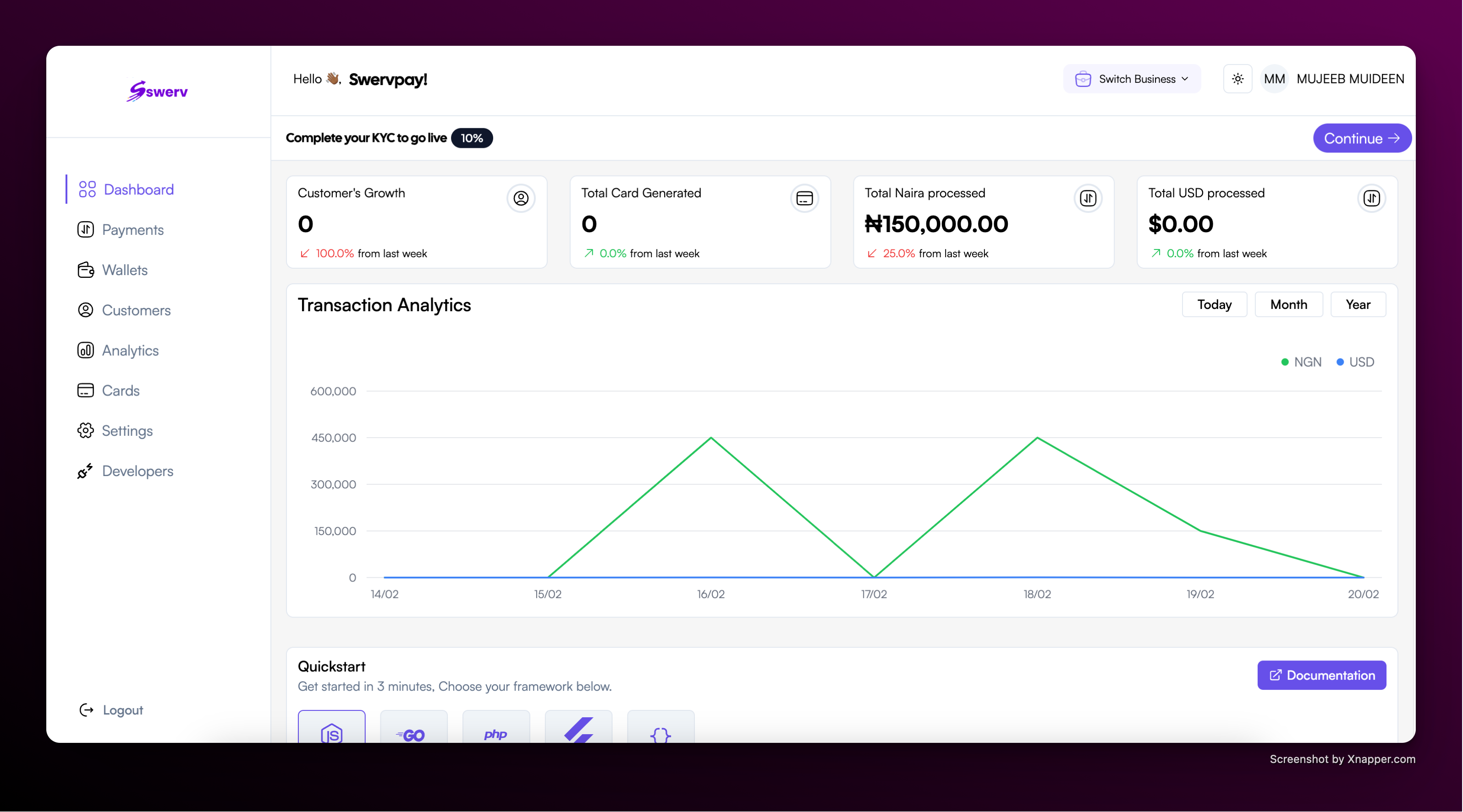 Introducing Swervpay API Platform - Unlocking Global Payment Possibilities